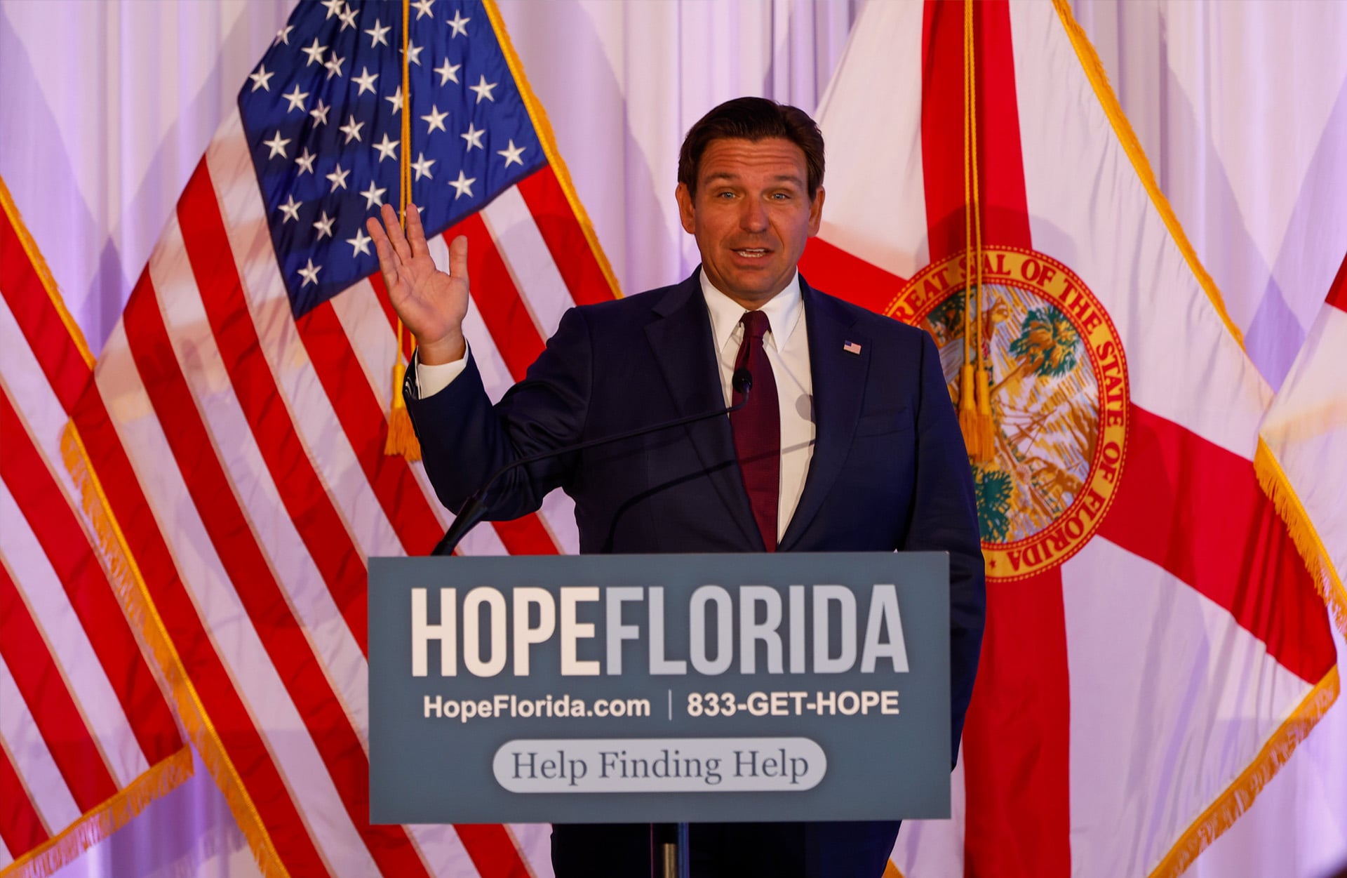 Many manatees swimming in the ocean.