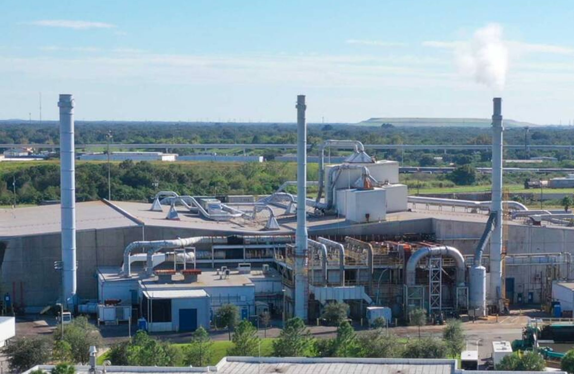Many manatees swimming in the ocean.