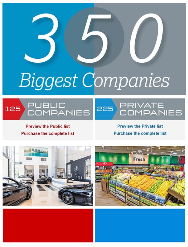 350 Biggest Companies