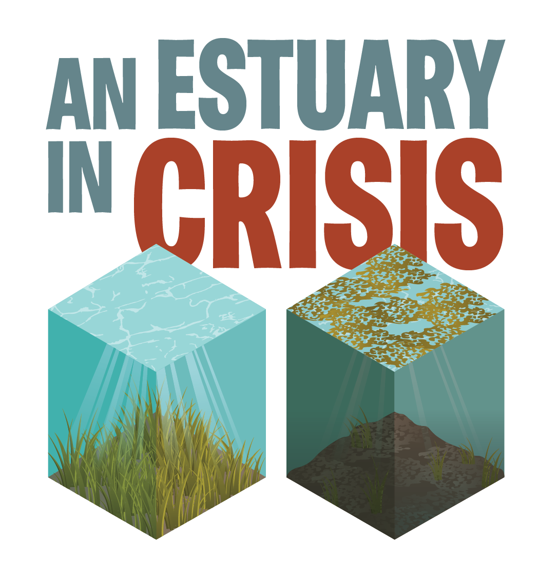 An estuary crisis.