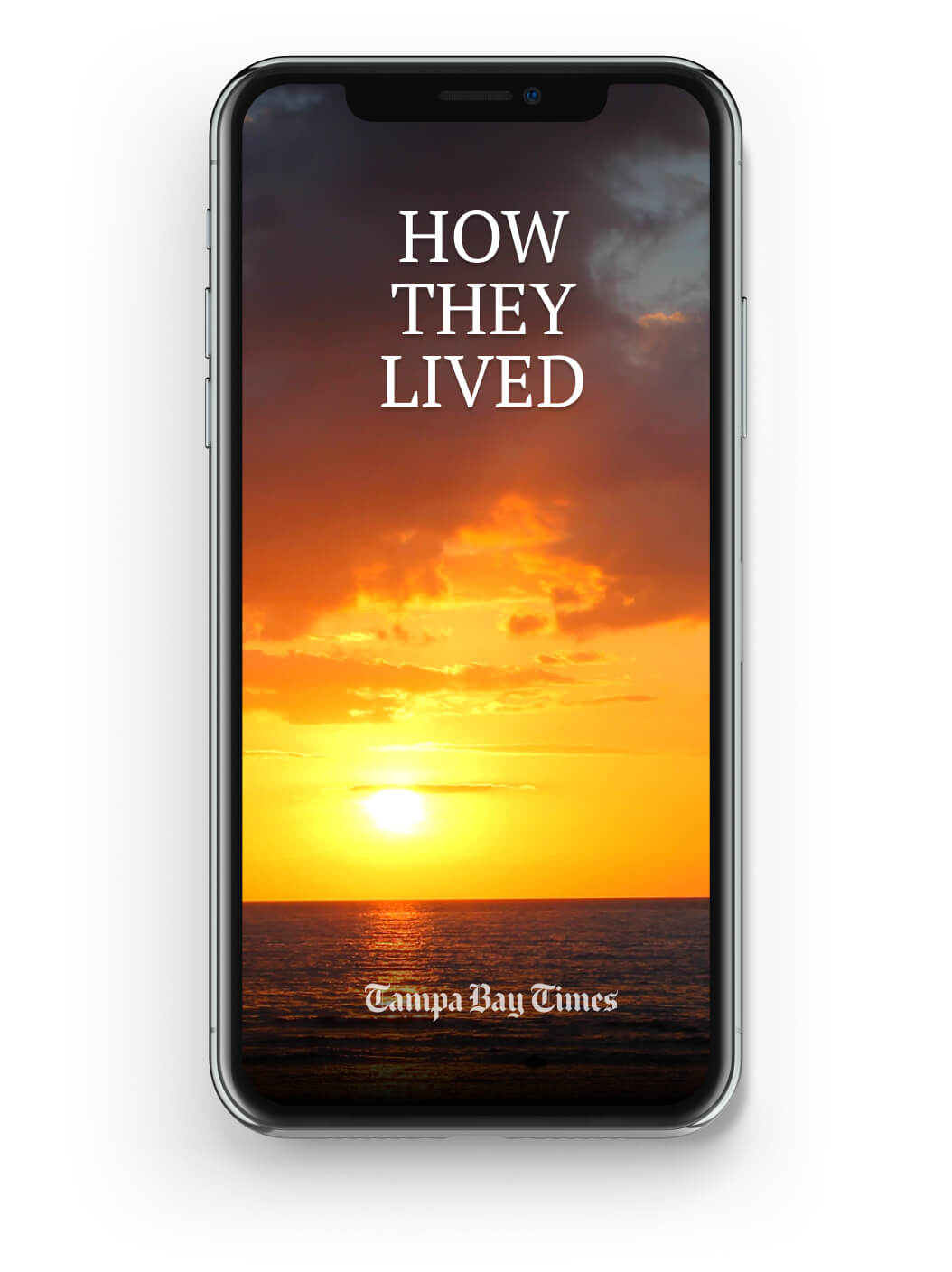 The Tampa Bay Times 'How They Lived' newsletter
